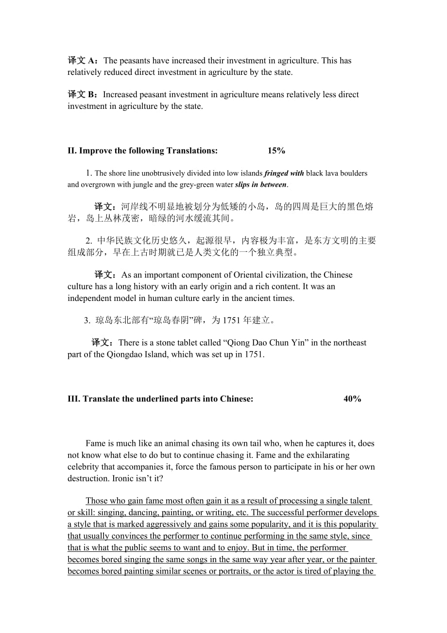 翻译理论与实践考试试卷5页_第2页