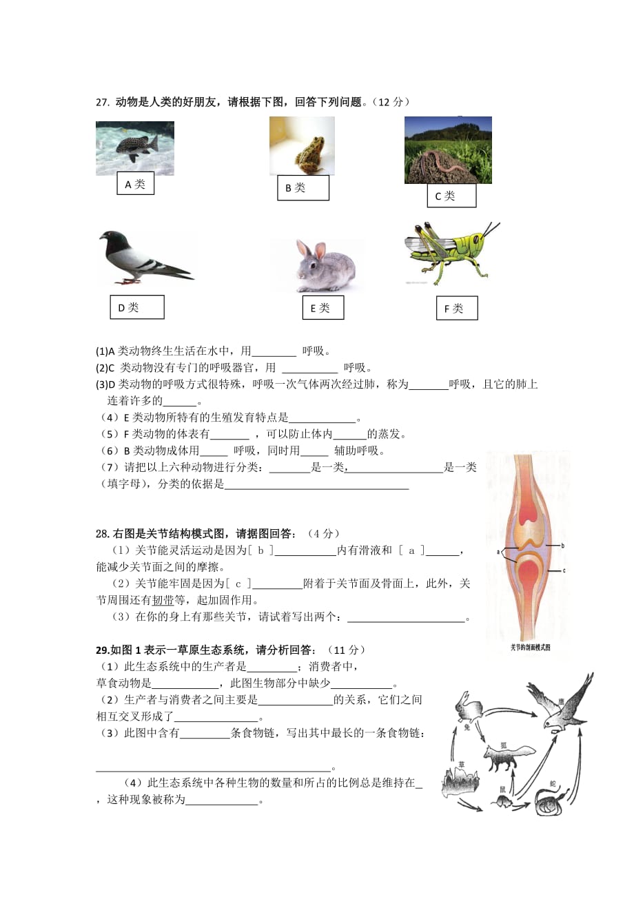 八年级生物上册期中试卷(2013秋_人教版新课标)_第3页