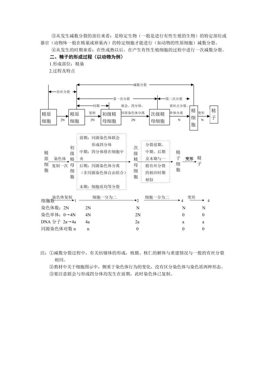 细胞增殖知识点总结7页_第2页