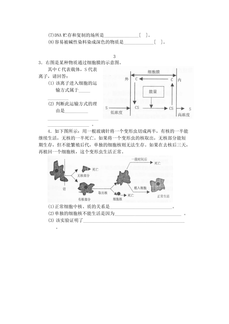 细胞的结构和功能练习(精)5页_第4页