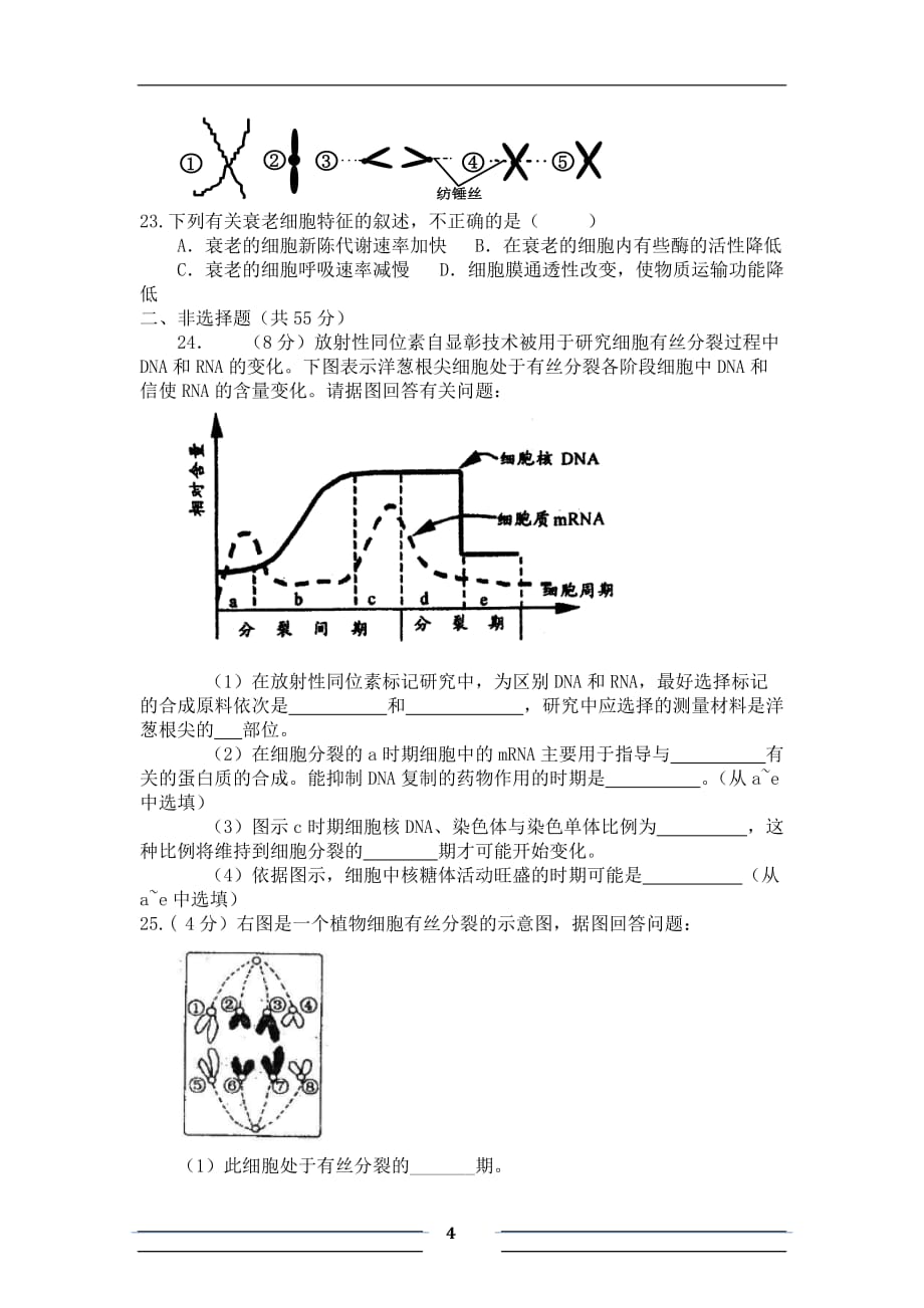 细胞增殖的练习题及答案5页_第4页