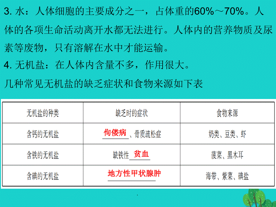 中考生物 第四单元 第二章 人体的营养复习1_第3页