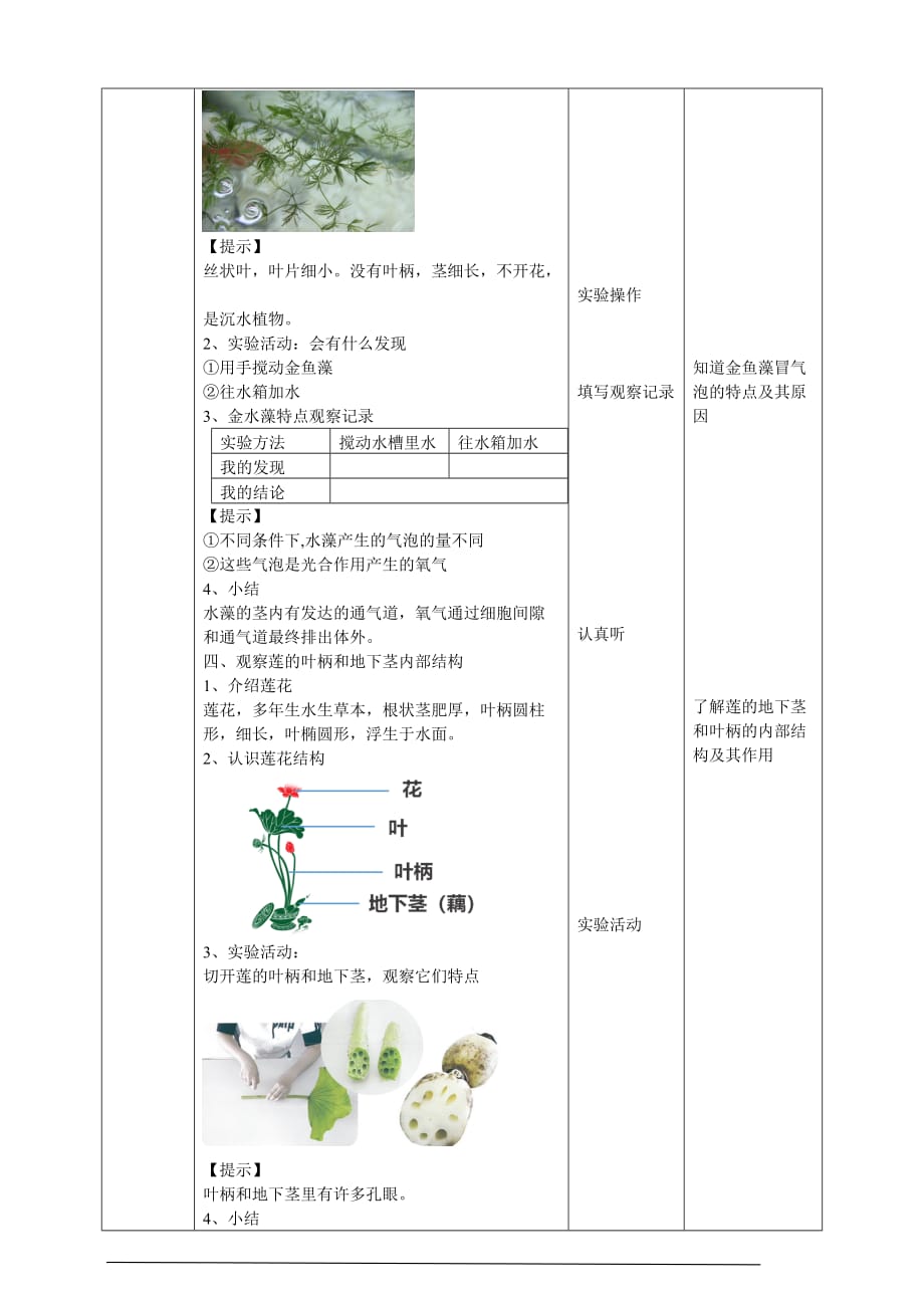 2021春苏教版科学三年级下册2.7《水里的植物》教案_第3页