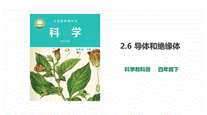 教科版科学四年级下册2.6《导体和绝缘体》课件（2套）