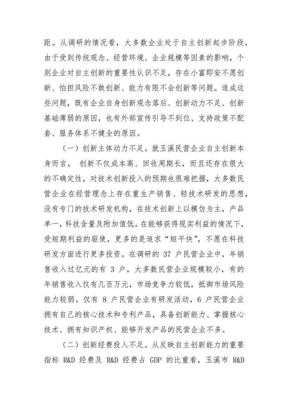 玉溪自主创新情况调研报告_第5页