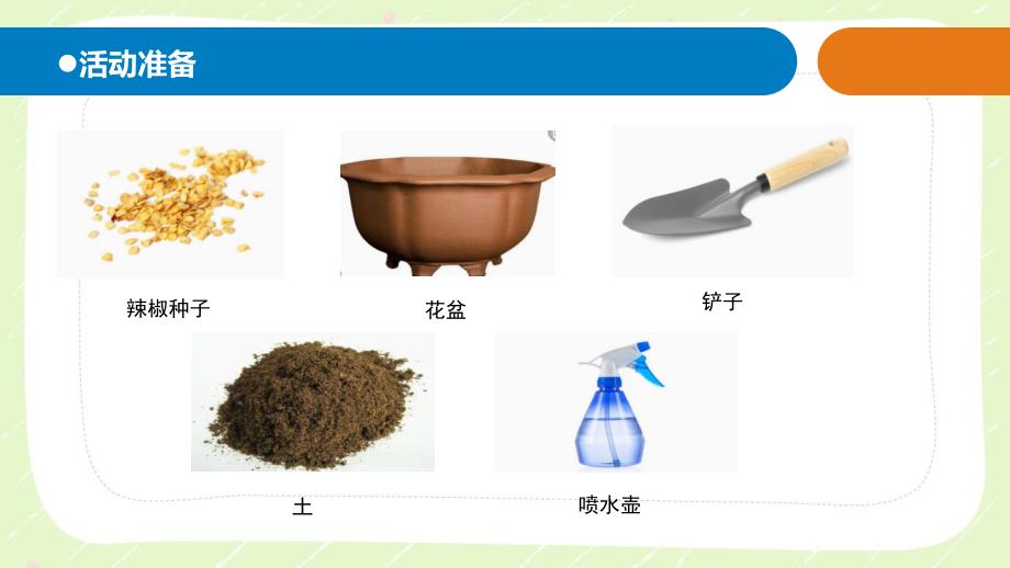 2021六三制新青岛版四年级科学下册第四单元12《种辣椒》课件_第2页