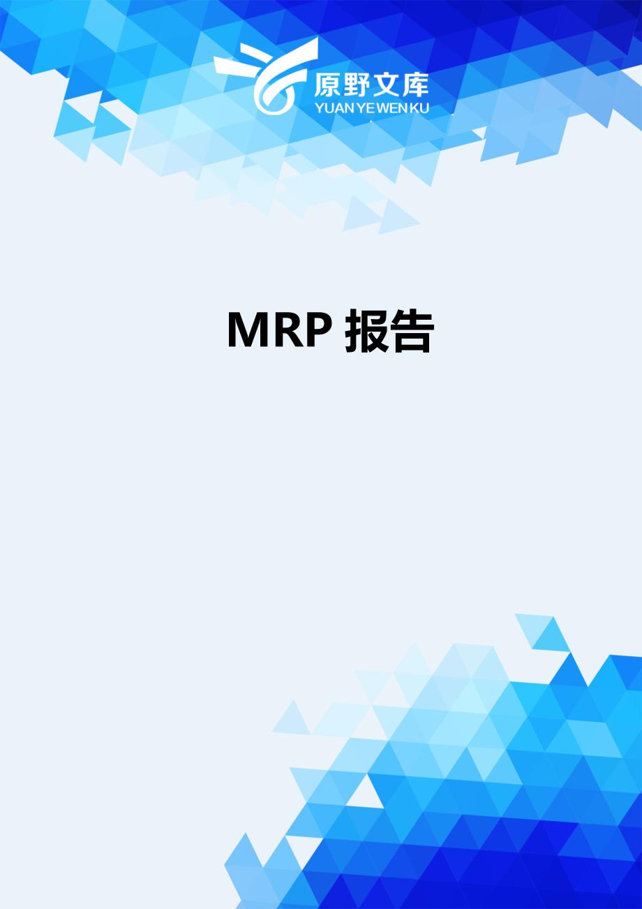 【财务】MRP报告.-适用_第1页