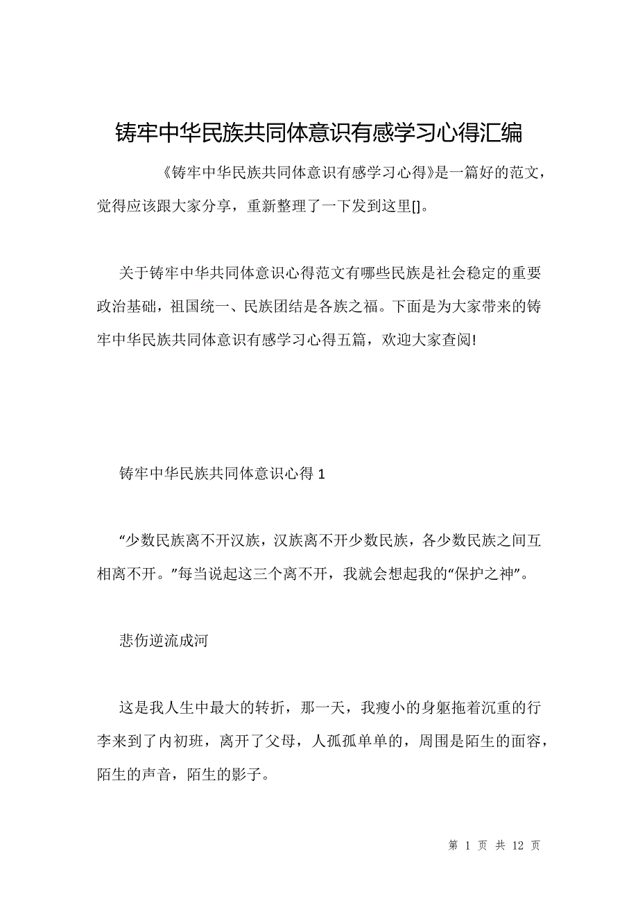 铸牢中华民族共同体意识有感学习心得汇编_第1页