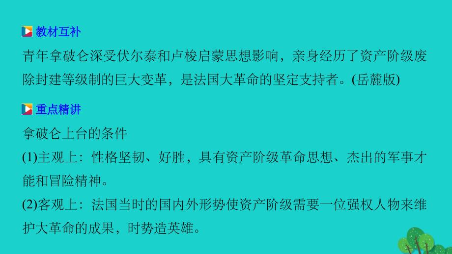 201x-201x学年高中历史第三单元欧美资产阶级革命时代的杰出人物3一代雄狮拿破仑新人教版选修_第4页