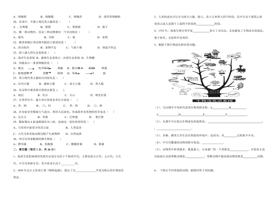 八年级生物下册期中试卷(附答案)北师大版4页_第2页