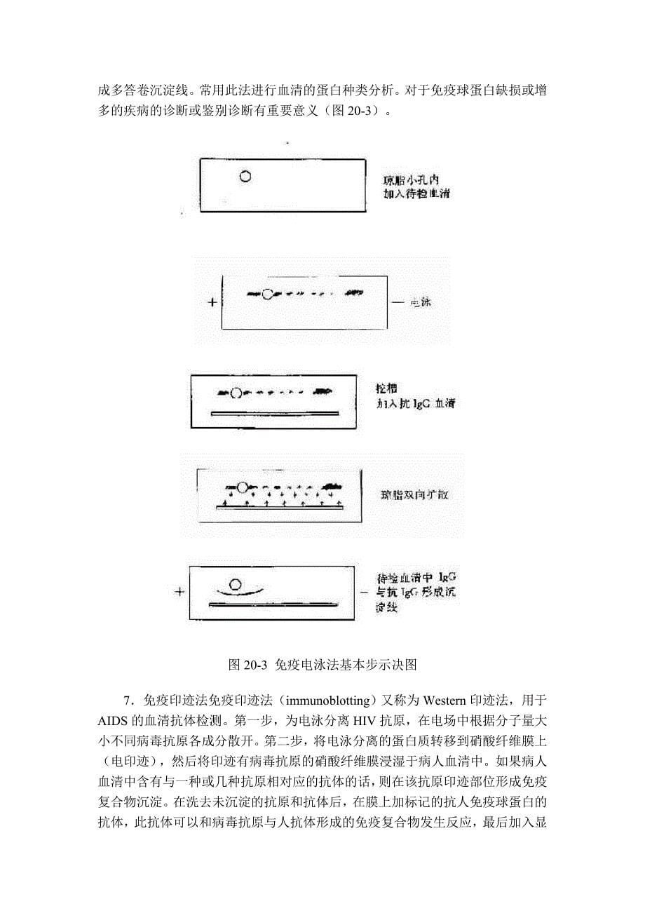 免疫学检测法13页_第5页