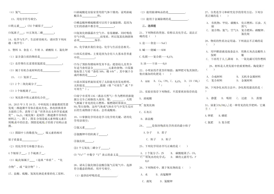 初中化学化学用语专题3页_第2页