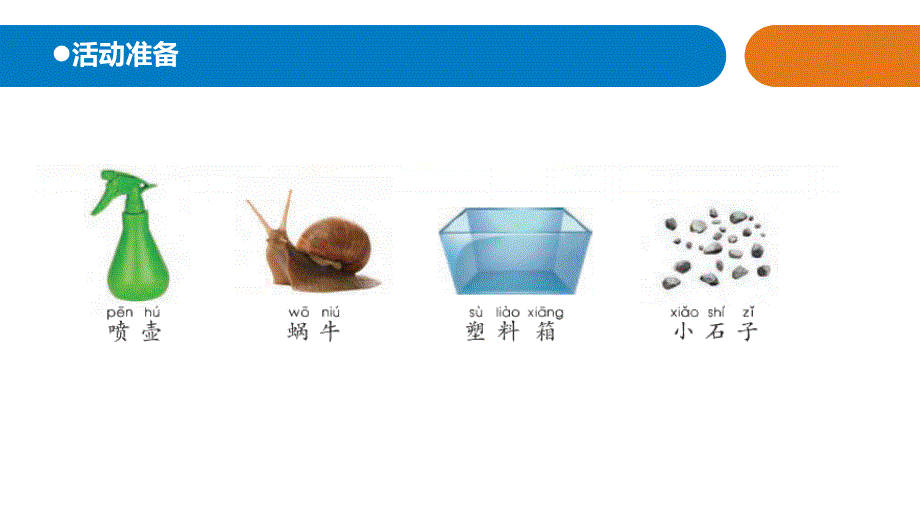 2021五四制新青岛版二年级科学下册9.《天气与动植物》课件_第2页