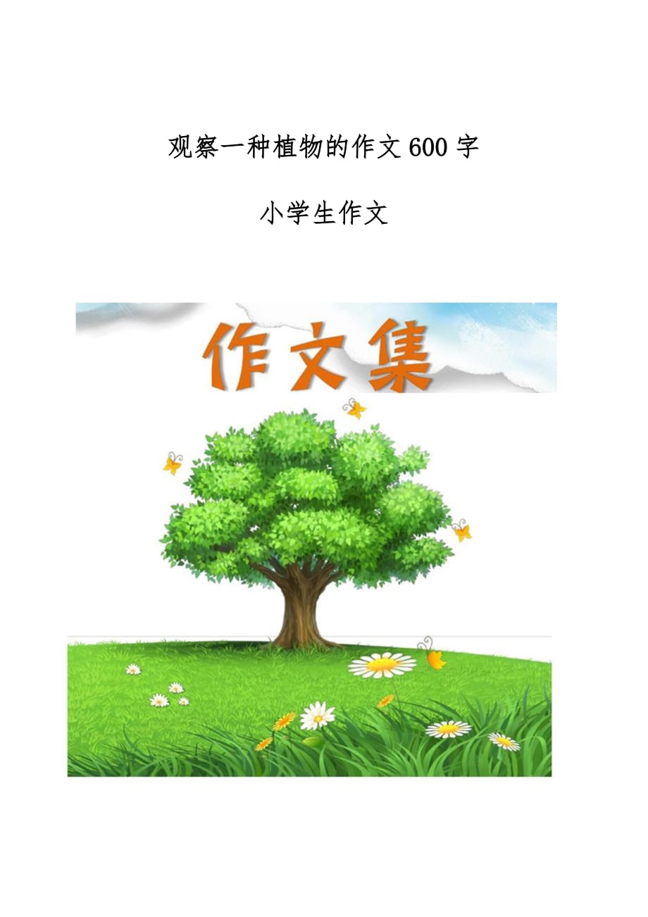 观察一种植物的作文600字-[小学生优秀作文]_第1页