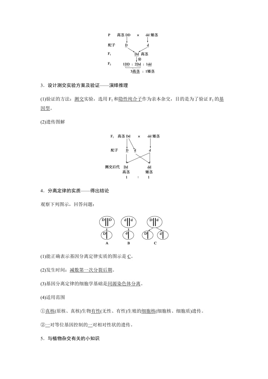 生物必修二-基因的分离定律-知识点-知识总结-基础梳理5页_第2页