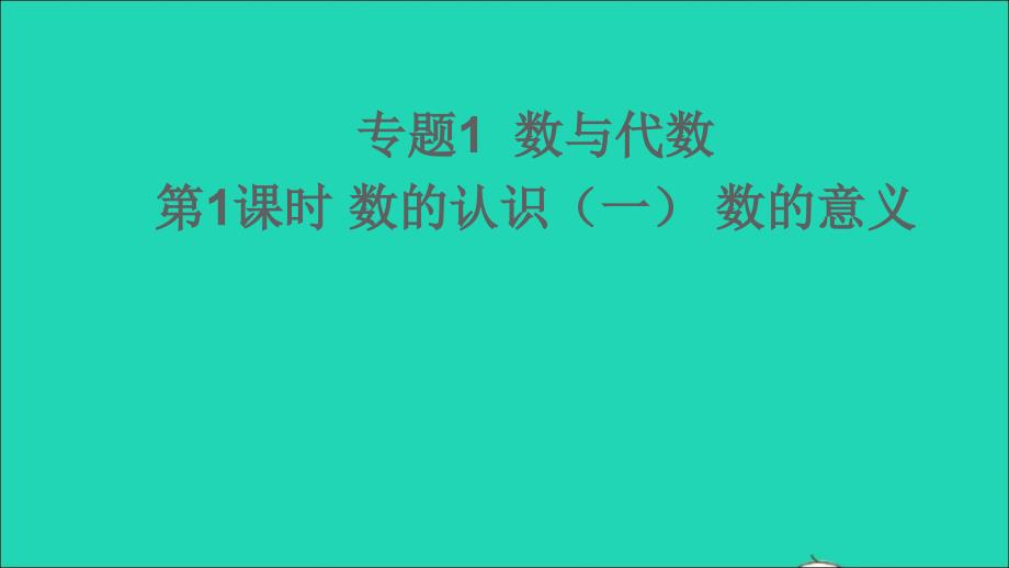 六年级数学下册回顾整理__总复习专题1数与代数第1课时数的认识一数的意义课件青岛版六三制20210223225_第1页