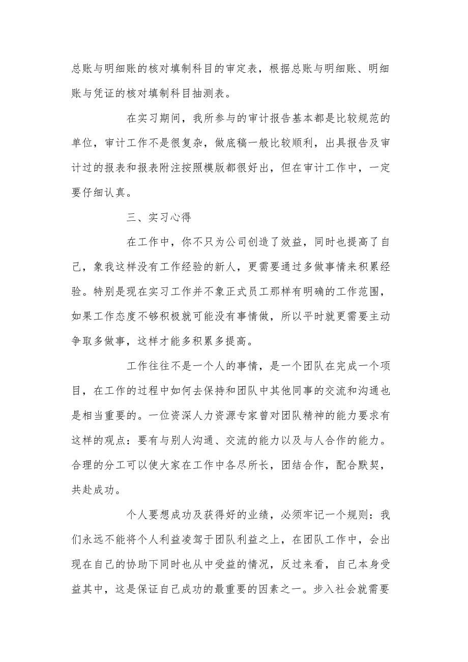 审计关于度实习总结报告范文文档_第5页