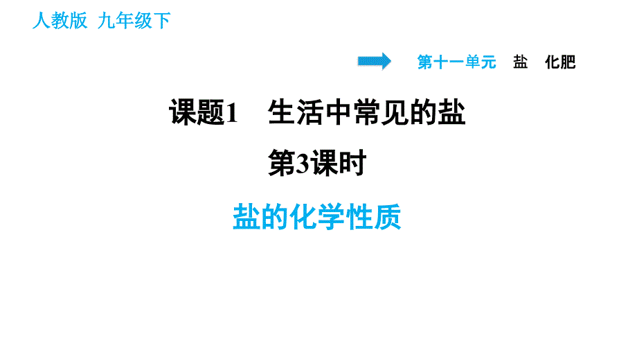 2020-2021学年人教版九年级下册化学习题课件 11.1.3 盐的化学性质_第1页