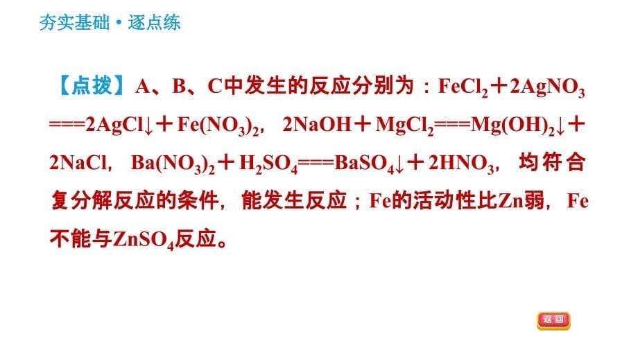 2020-2021学年人教版九年级下册化学习题课件 11.1.3 盐的化学性质_第5页