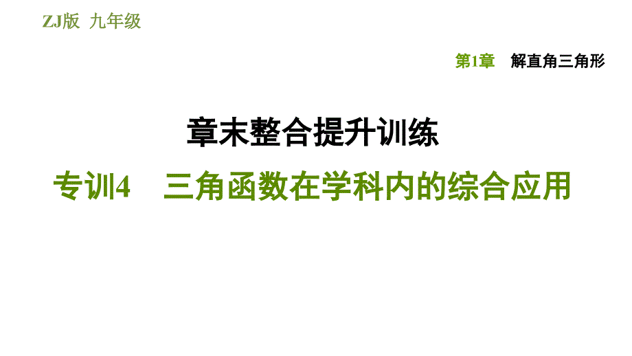 2020-2021学年浙教版九年级下册数学习题课件 第1章 章末整合提升训练 专训4 三角函数在学科内的综合应用_第1页