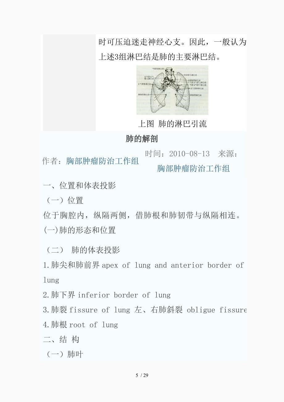 最新肺内气管与血管的应用解剖（精品课件）_第5页