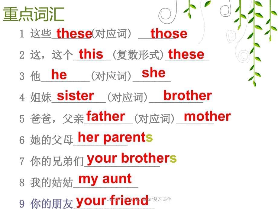 Unit 2 This is my sister复习课件_第5页