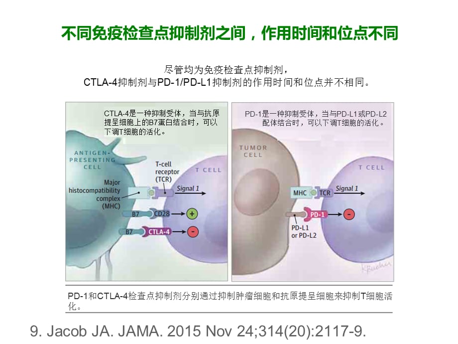 肿瘤免疫治疗相关不良反应处理朱铁年课件_第4页