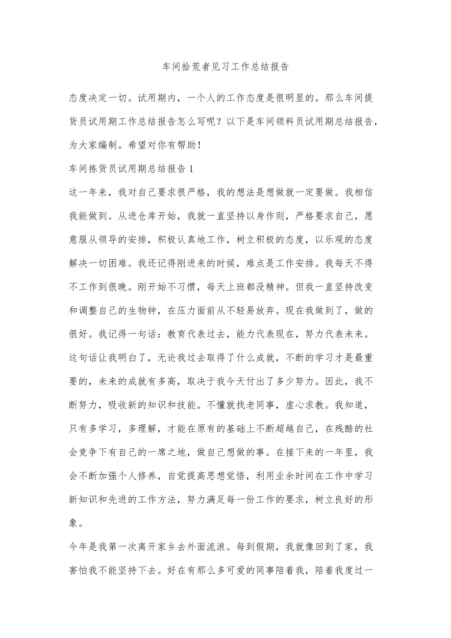 车间拾荒者见习工作总结报告_第1页