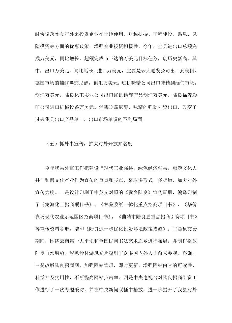 招商局工作结与招商引资工作计划23页_第5页