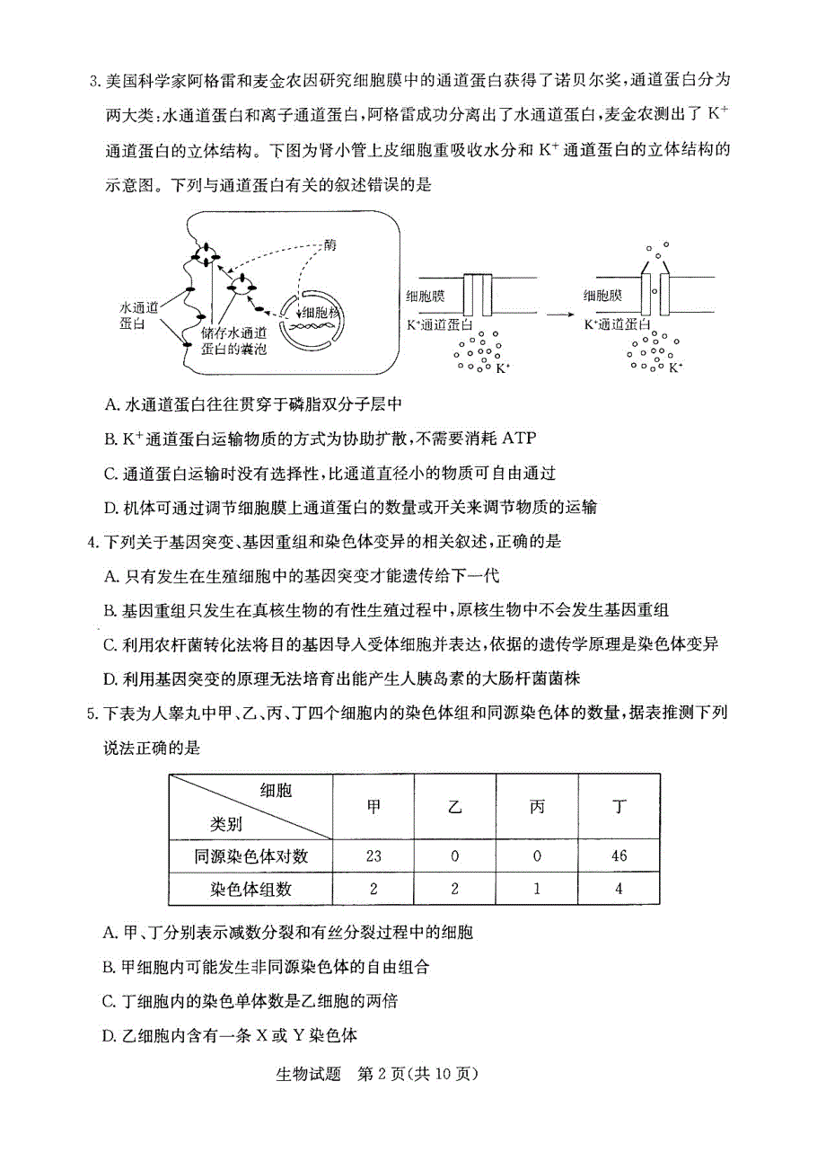 2020年山东省济南市高三一模生物试题(含答案和解析)_第2页