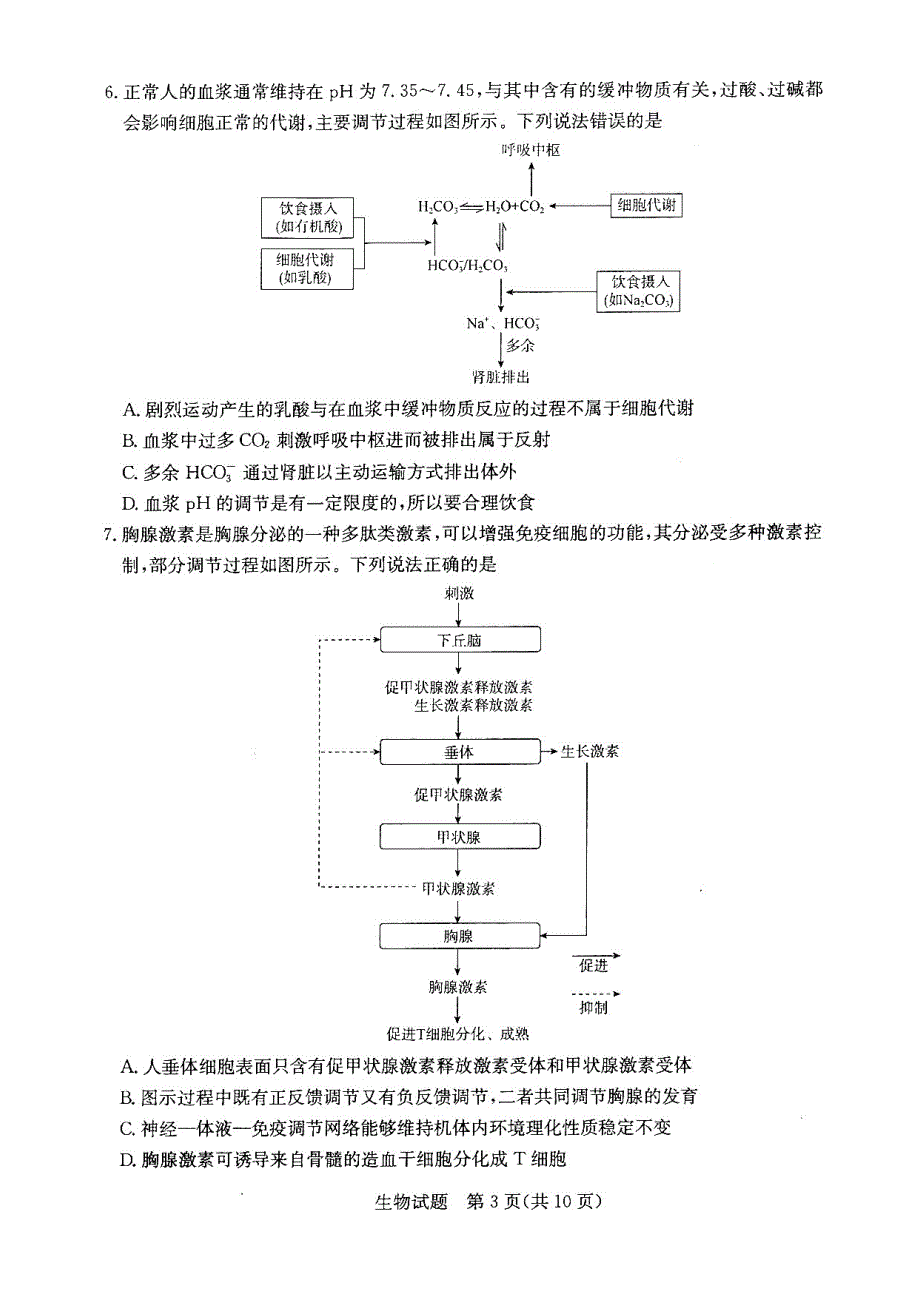 2020年山东省济南市高三一模生物试题(含答案和解析)_第3页