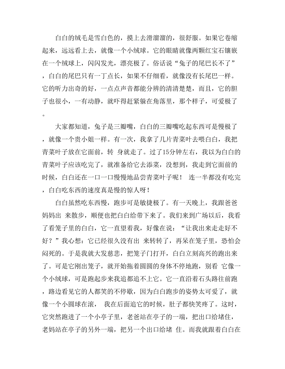 小学生写小白兔作文600字汇编九篇_第4页