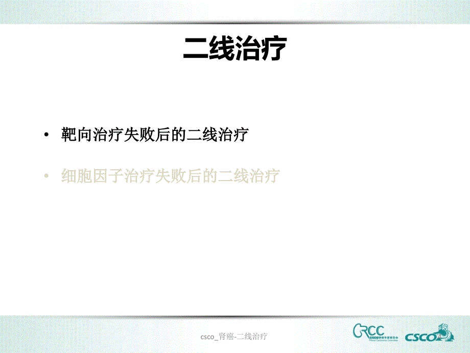 csco_肾癌-二线治疗课件_第4页