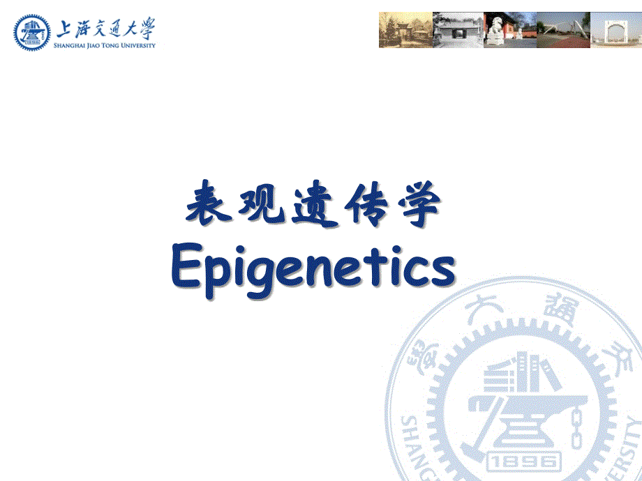 医学遗传与胚胎发育15 表观遗传课件_第1页