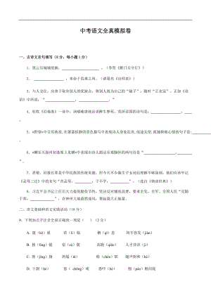 中考语文全真模拟卷（精编版）（原卷+解析）1