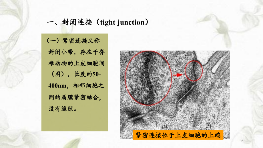 5细胞与社会的联系（精品收藏）_第2页