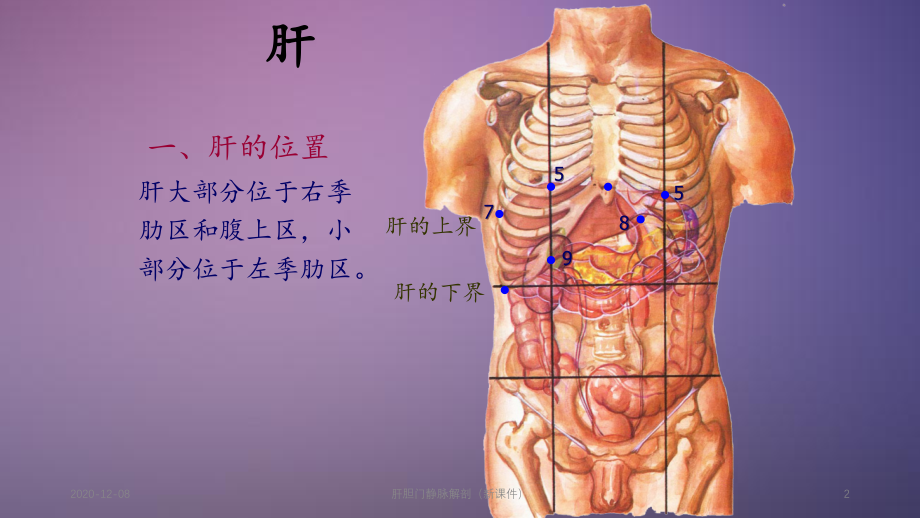 肝胆门静脉解剖（精品收藏）_第2页