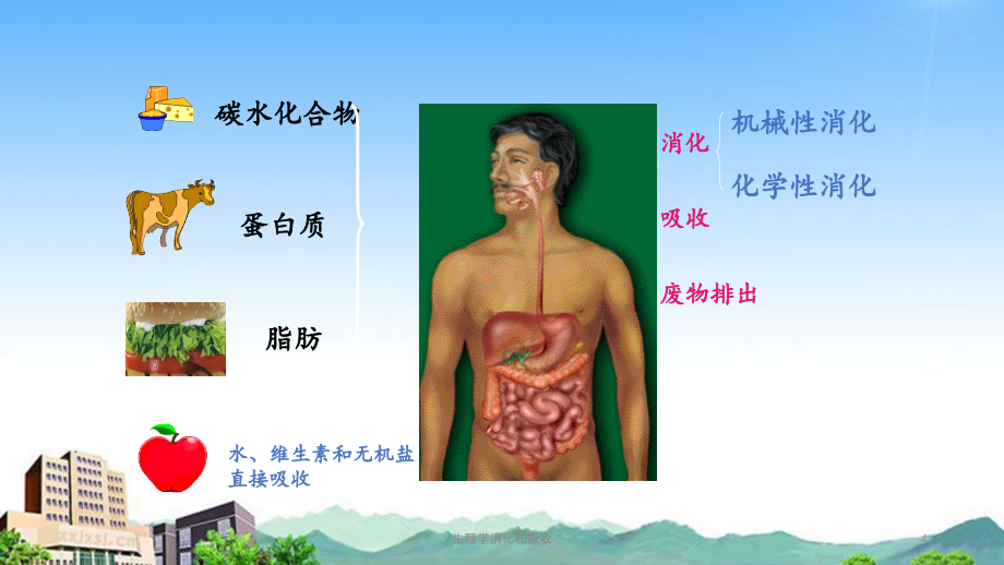 生理学消化和吸收（精品收藏）_第4页