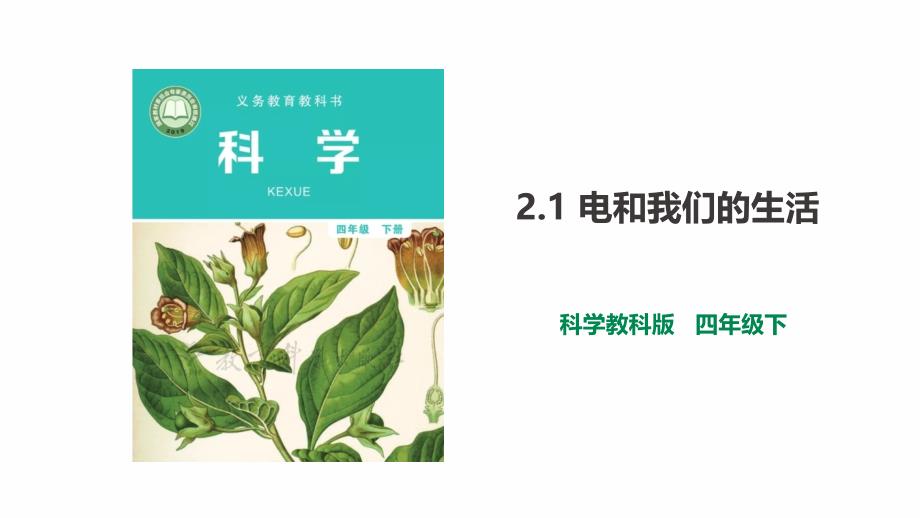 2021最新教科版四年级科学下册2.1《电和我们的生活》课件（2套）_第1页