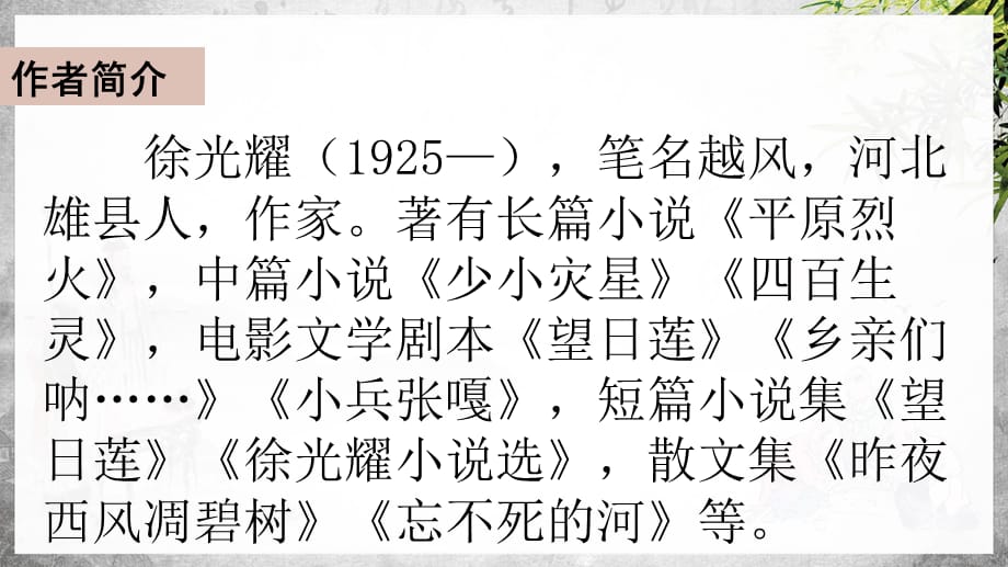 统（部）编版语文五年级下册13人物描写一组课件PPT-附教案、说课稿和课时练_第4页