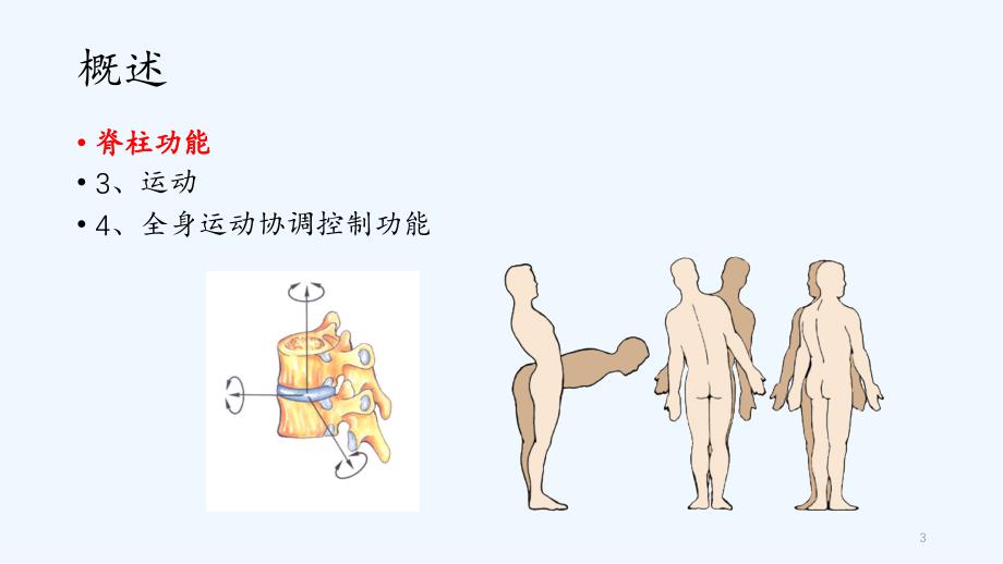 脊柱骨折的康复（精品收藏）_第3页