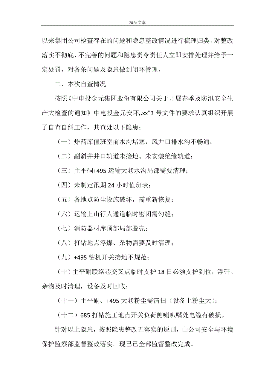 《煤矿2021年春检及防汛安全检查自查报告》_第2页