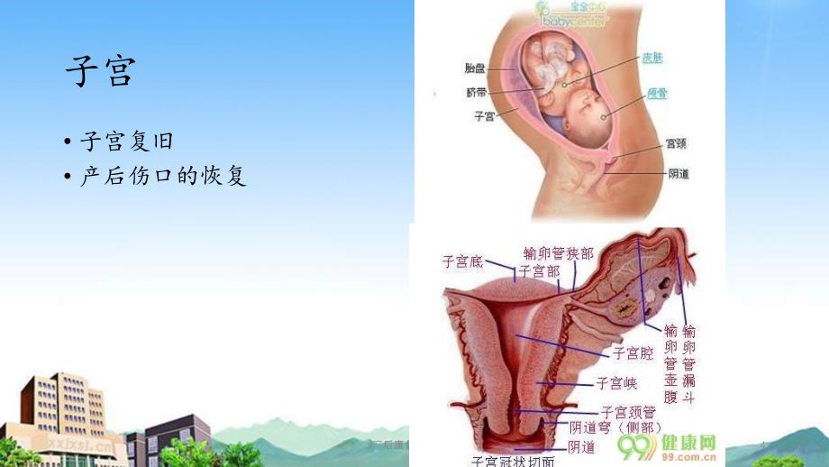 产后康复基础知识（精品收藏）_第4页