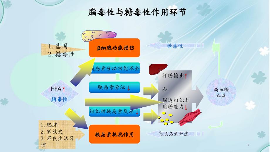 糖尿病及降糖药物 （精品收藏）_第4页