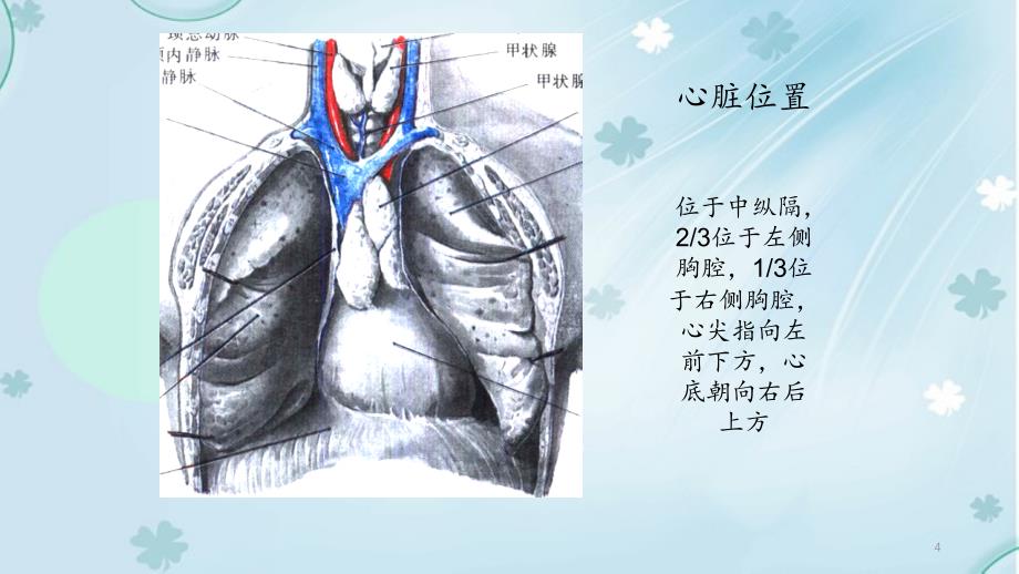 心脏超声诊断（精品收藏）_第4页