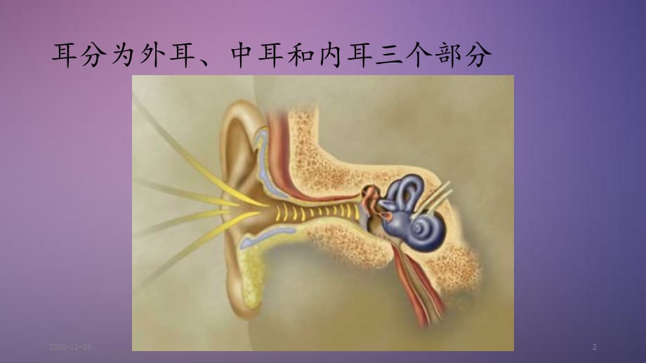 耳解剖及生理（精品收藏）_第2页