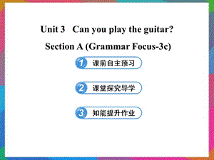 六年级英语下册 UNIT 3 CAN YOU PLAY THE GUITAR SECTION A(GRAMMAR FOCUS-3C)课件 鲁教版五四制