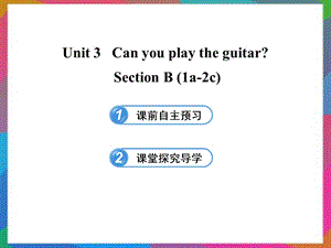六年级英语下册 UNIT 3 CAN YOU PLAY THE GUITAR SECTION B(1A-2C)课件 鲁教版五四制