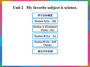 六年级英语下册 UNIT 2 MY FAVORITE SUBJECT IS SCIENCE课件 鲁教版五四制