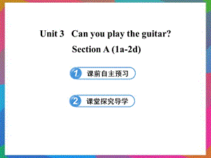 六年级英语下册 UNIT 3 CAN YOU PLAY THE GUITAR SECTION A(1A-2D)课件 鲁教版五四制